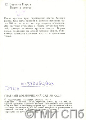 Обратная сторона