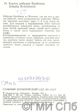 Обратная сторона