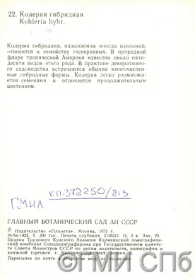 Обратная сторона