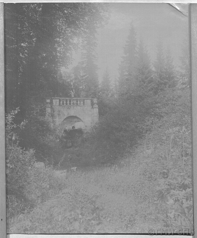 Павловск. Парк близ Большого каскада. Конец XIX - начало XX века