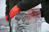 DSC_9387.jpg