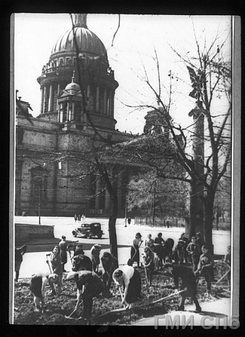 Ленинградцы восстанавливают свой город. Комсомольцы Октябрьского района на воскреснике по озеленению бульвара Профсоюзов. 14.05.1944