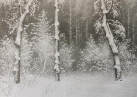Е. Дубицкий. Волшебный лес. Бумага, карандаш. 2002