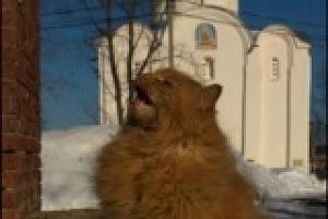 Staraya (Old) Ladoga. Ancient capital of Northern Rus