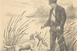 В нашей квартире собаки и кот: питомцы С.М. Кирова