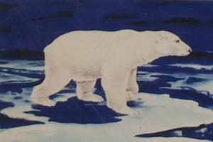 Journey to the Arctic