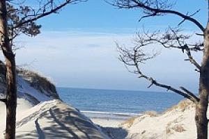 Морское природное и культурное наследие северо-запада России: расшифровка современного экологического кода